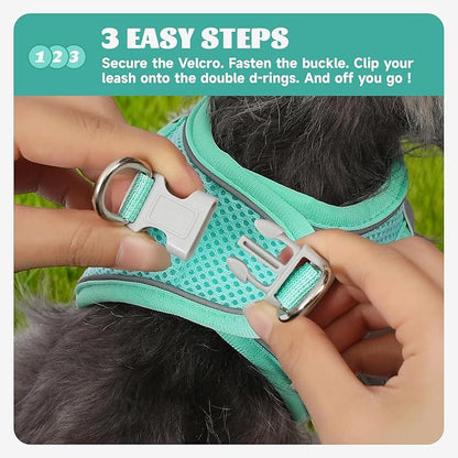 Bolux Dog Harness Small Sized and Leash Set, Step in Soft Light Puppy Vest, Breathable Mesh Pet Harness, Reflective for Safe Easy Walking.