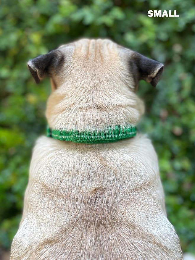 Tuff Pupper Heavy Duty Dog Collar with Handle | Ballistic Nylon Heavy Duty Collar | Padded Reflective Dog Collar with Adjustable Stainless Steel Hardware | Convenient Sizing for All Breeds