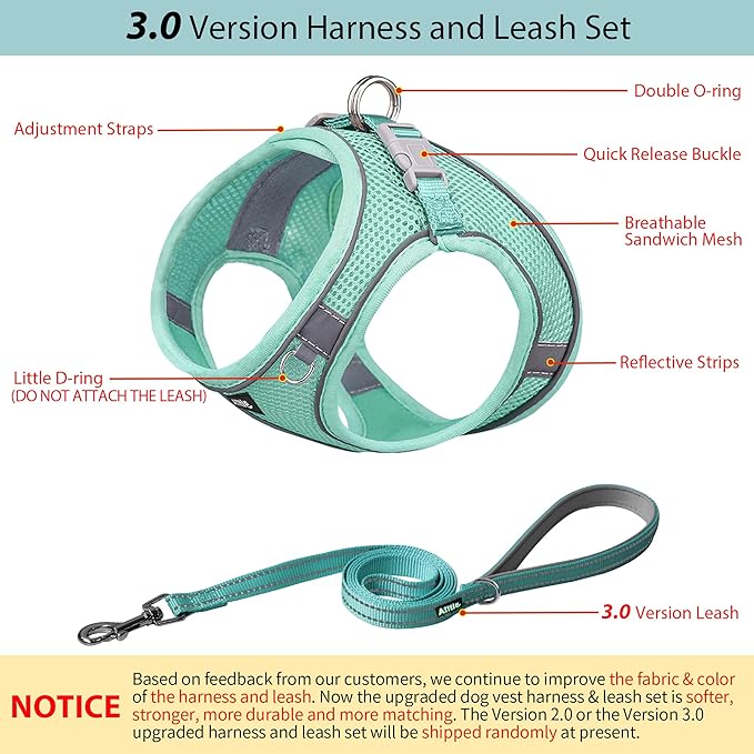 AIITLE Small Harness for Puppy with A Leash - Dog Vest Harness with Super Breathable Mesh, Reflective No-Pull Pet Harness for Outdoor Walking, Running for Small Dogs, Cats Pure Turquoise XXS