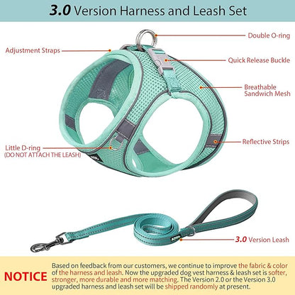 AIITLE Step in Dog Harness and Leash Set - No Pull Escape Proof Vest Harnesses with Soft Mesh and Reflective Bands, Adjustable Pet Outdoor Harnesses for Small and Medium Dogs Pure Turquoise M