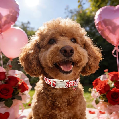 Lionet Paws Valentine's Day Dog Collars - Red Heart Peach Dogs Collar with Plastic Buckle and Heart Pendant,Dog Collar for Medium Large Dogs