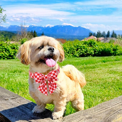 Red and Pink Plaid Dog Collarwith Bow Tie– Adjustable Red & Pink Checkered Dog Collar for Small Medium Large Dogs, Soft Xmas Plaid Puppy Collars with Quick Release Buckle M