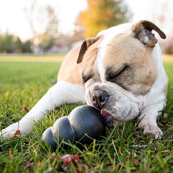 KONG Extreme Dog Toy - Fetch & Chew Toy - Treat-Filling Capabilities & Erratic Bounce for Extended Play Time Most Durable Natural Rubber Material - for Power Chewers - for Small Dogs (Pack of 2)