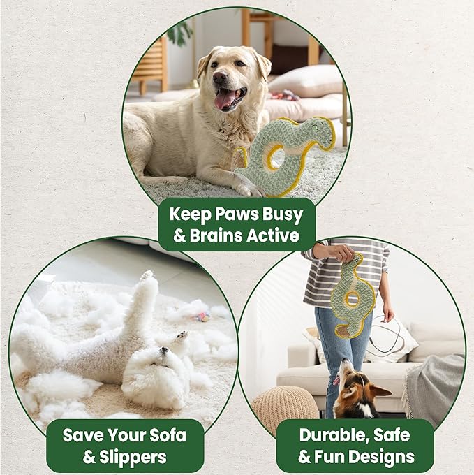 Nocciola Squeaky Dog Toy, New 2025 Ring Snake Dog Toy for Tug of War, Stuffed Toy with Two Tough Layers, Interactive Tug Training to Keep Them Busy, Green