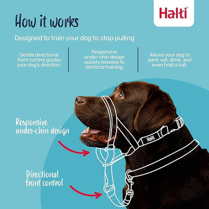 Halti Headcollar - Stop Your Dog Pulling on The Leash. Adjustable, Reflective and Lightweight, with Padded Nose Band. Dog Training Anti-Pull Collar for Medium Dogs (Size 2, Burnt Orange)