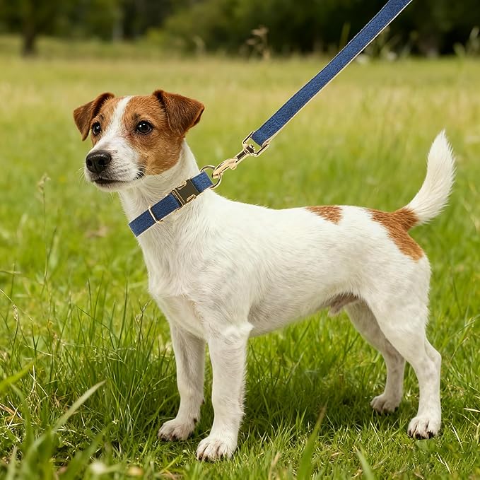 Ewinoom Soft Hemp Dog Collar and Leash Set Adjustable Woven Tweed Dog Collars with Metal Buckle and Lead for Small Medium Large Dogs,Royal Blue