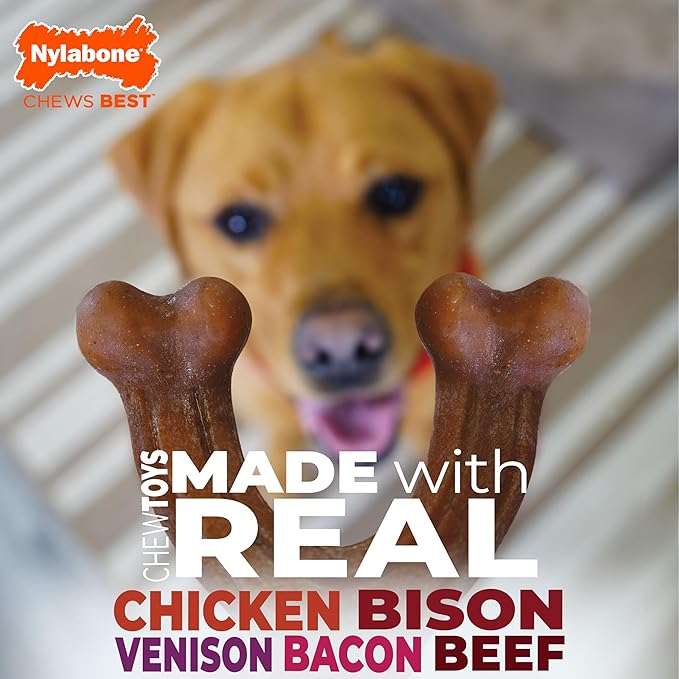 Nylabone Wishbone Strong Chew Toy for Dogs Made with Real Bacon, Durable Dog Chew Bones for Aggressive Chewers, Long-Lasting Flavor Keeps Dogs Busy, Large Dog Toys - Up to 50 lbs, 1 Count