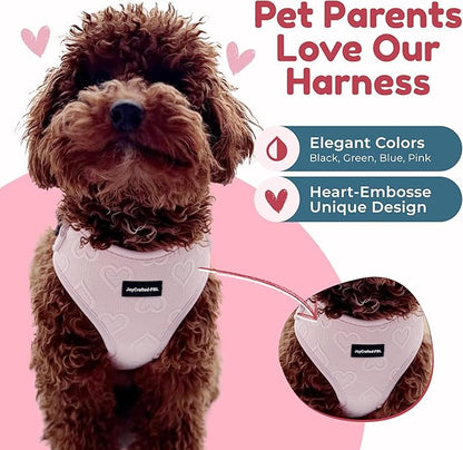 No-Pull, No-Choke Dog Harness & Leash Set – Stylish & Fun – Lightweight, Breathable Neoprene – Unique Heart Pattern – Adjustable for Extra Small Dogs (Harness Leash Set-Pink, X-Small)