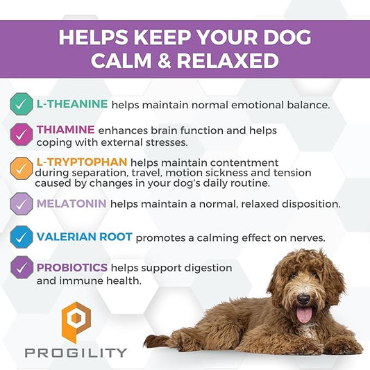 Nootie Progility Dog Calming Supplement for Stressful Situations & Daily Support – Supports Calm Behavior & Emotional Balance with Melatonin, Soft Calming Chews (90 Count)