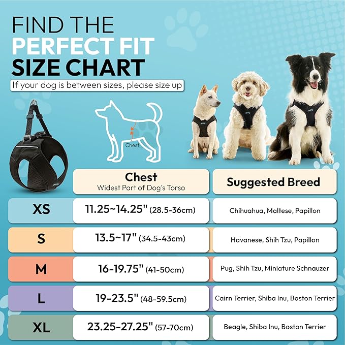 Gooby Escape Free Easy Fit X Step in Dog Harness - Vegas Black, Medium