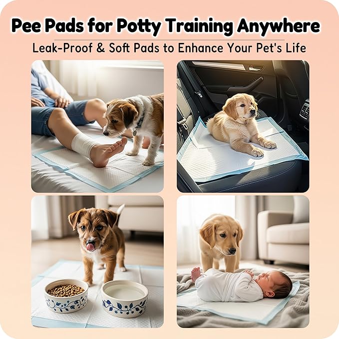 MoMoCo Puppy Pads, 23"x23"-100 Count Pet Pee Pads, Super Absorbent Disposable Dog Training Pads , Leak-Proof, Quick-Drying Potty Pads for Dogs Puppies