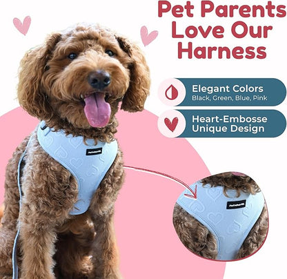 No-Pull, No-Choke Dog Harness & Leash Set – Stylish & Fun – Lightweight, Breathable Neoprene – Unique Heart Pattern – Adjustable for Extra Small to Medium Dogs (Harness Leash Set-Blue, XX-Small)