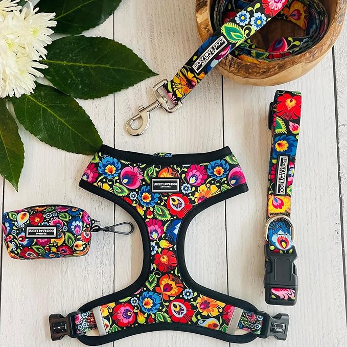 Lucky Love Dog Leash, Beautiful Vivid Patterns, Durable & Long Lasting (Blackbird, Large)