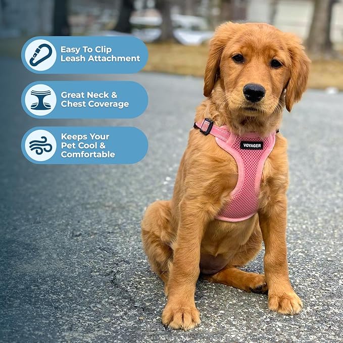 Best Pet Supplies Voyager Adjustable Step-in Flex Breathable Mesh Dog Harness for Small Medium Large Dogs (Pink), S