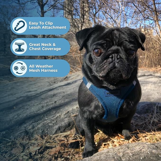 Best Pet Supplies Voyager Step-in Air Harness - All Weather Mesh, Reflective, No Pull Harness for Dogs, Cats - Secure with Hook & Loop Fastener, Buckle, Double D-Rings - Blue, M