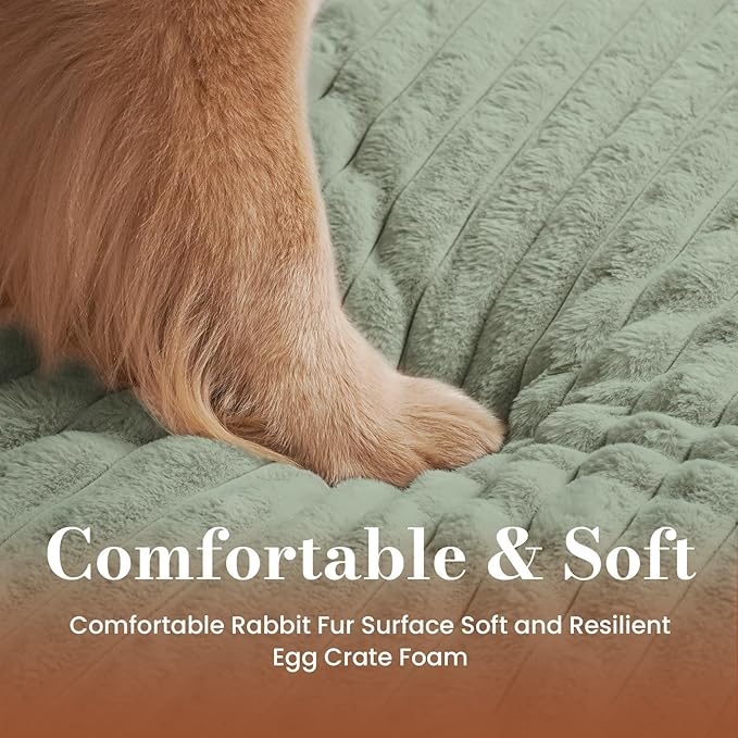 Cozila Dog Beds for Extra Large Sized Dog, Orthopedic Pet Bed with Waterproof Lining, Soft Short Plush Surface & Egg Crate Foam, Machine Washable Pet Mat with Removable Cover & Anti Slip Bottom