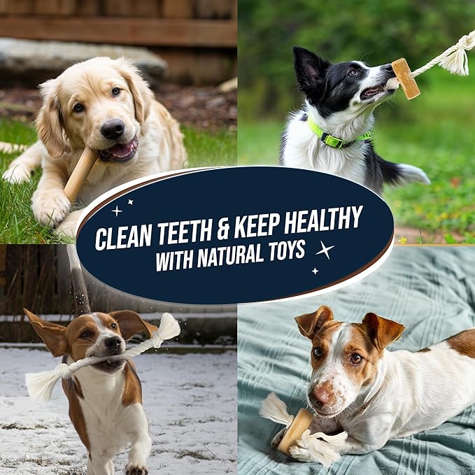4 Pack Real Coffee Wood Stick for Dogs 15-40 lbs, Puppy Teething Toys, 100% Natural Puppy Wood Chew Toys, Stress Relief - Woodden Bones for Dogs - Natural Rope Toys