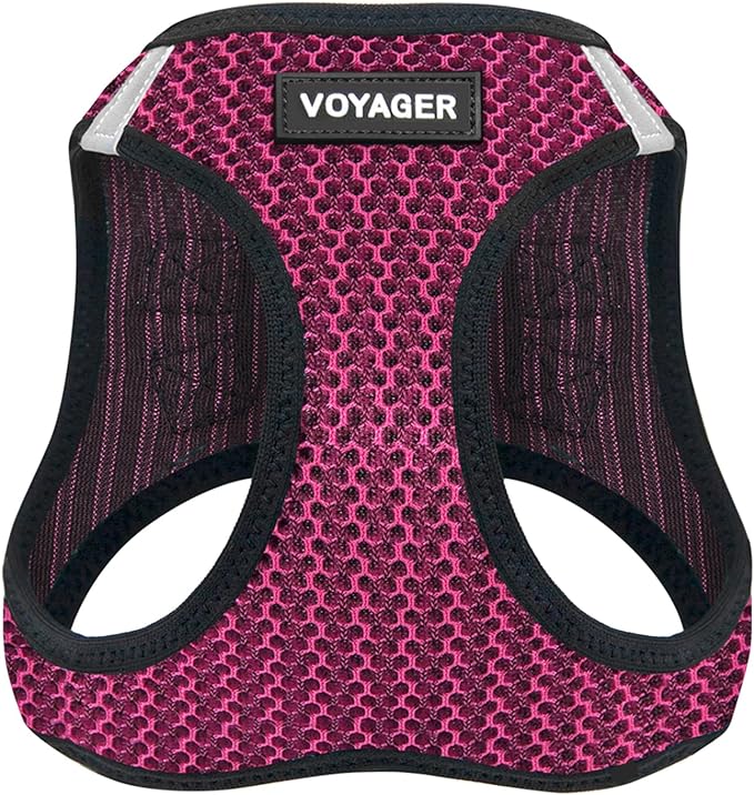 Best Pet Supplies Voyager Step-in Air Harness - All Weather Mesh, Reflective, No Pull Harness for Dogs, Cats - Secure with Hook & Loop Fastener, Buckle, Double D-Rings - Fuchsia 2-Tone, M