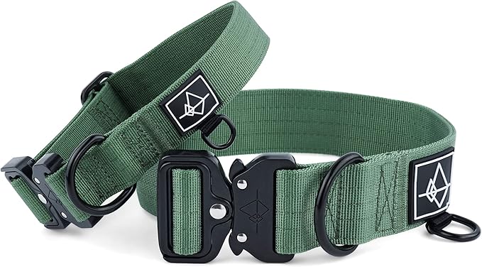 Made to ROAM Premium Dog Collar - Adjustable Heavy Duty Nylon Collar with Quick-Release Metal Buckle (Oregon Haze, Classic Size 4)