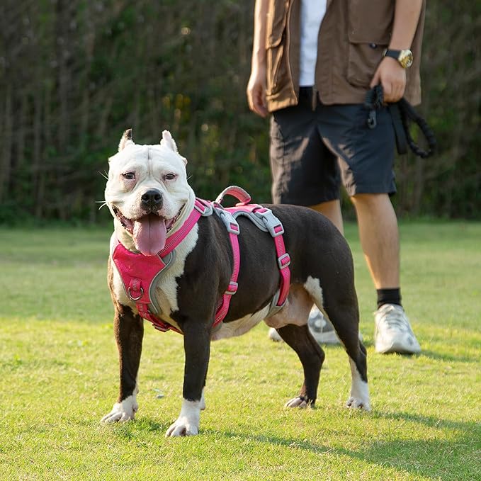 Huntboo Escape Proof Dog Harness, Escape Artist Harness, Reflective Harness with Padded Handle, Breathable, Durable, Adjustable Vest for Medium Dogs Walking, Training, and Running Gear (Rose red, M)