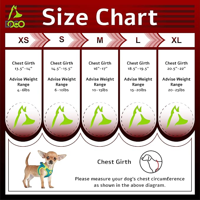 DOCO Dog Harness for Small Sized Dog - Athletica Adjustable, No Pull, No Choke, Puppy Vest Lightweight Air Mesh, Reflective, Puppy Essentials – Turquoise, Small (Chest 14.5"-15.5", Weight 6–10 lbs)