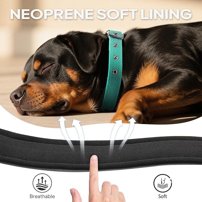 PetiFine Dog Collar for Large Dogs, Neoprene Padded and Adjustable, Reflective Wide Heavy Duty Pet Collars with Durable Metal Belt Buckle for Walking, Teal, L
