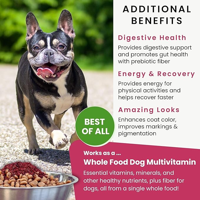 Olewo Original Red Beets Dog Food Topper – Natural Anti Itch, Immune, Cleansing, Skin & Coat Support, Dehydrated Whole Food Multivitamin, Fiber for Dogs, 1 lb