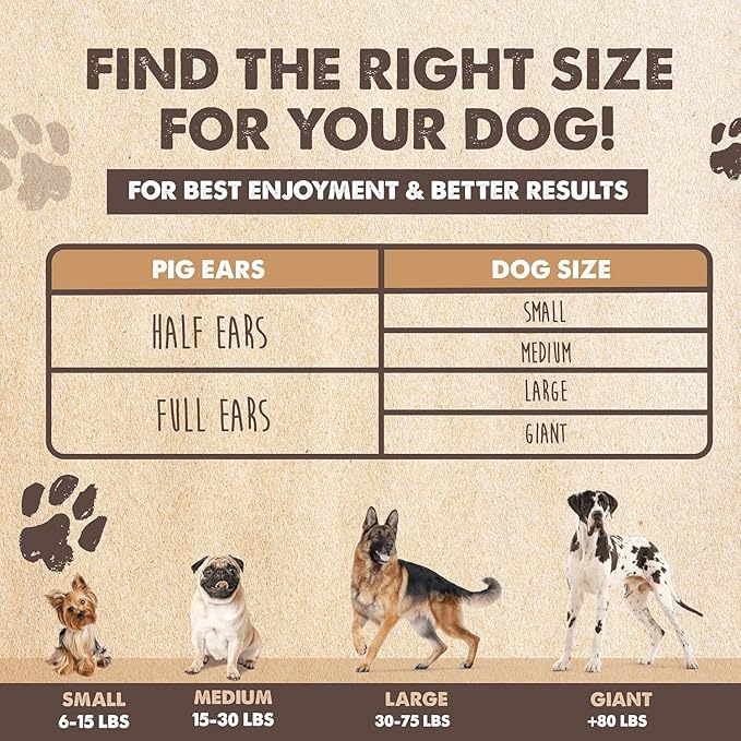 Mighty Paw Half Pig Ears for Dogs - All Natural, Single Ingredient Treats. Better Than Rawhide Pet Snacks for Small and Large/Medium Pets. Pigs Ear Dogs Chews (12 Pack)