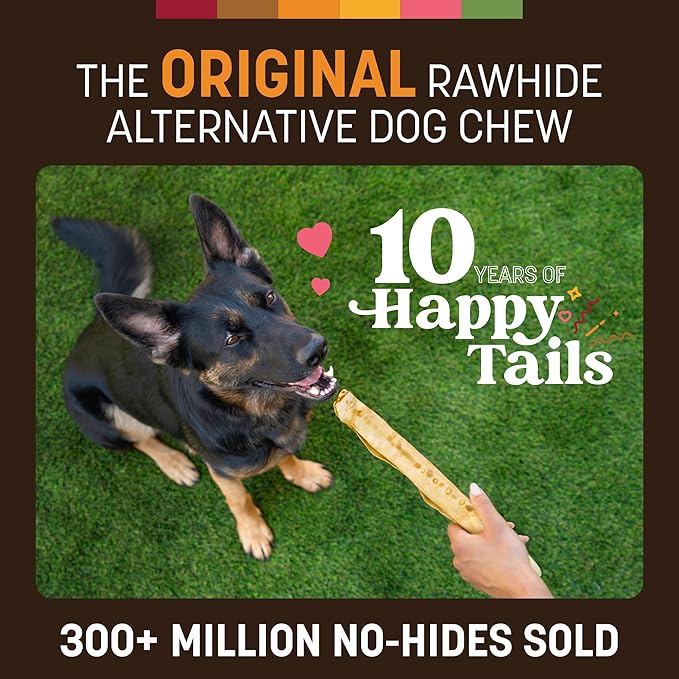 Earth Animal No Hide Chews - Long Lasting Rawhide Free Large Dog Chews Rolls, Chicken - 3 Count Value Pack