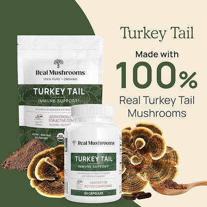 Real Mushrooms Turkey Tail Mushroom Powder – Organic Mushroom Extract for Daily Wellness Gut Harmony, & Energy Support with Beta Glucans – Vegan, Non-GMO, 45 Servings Functional Supplement