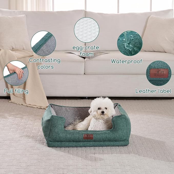 Hollypet Orthopedic Rectangle Dog Bed for Small Dogs, Supportive Egg-Crate Foam Pet Beds with Removable Washable Waterproof Cover and Non-Slip Bottom, Green, 23" L x 19" W x 8.5" Th
