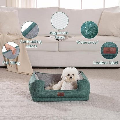 Hollypet Orthopedic Rectangle Dog Bed for Small Dogs, Supportive Egg-Crate Foam Pet Beds with Removable Washable Waterproof Cover and Non-Slip Bottom, Green, 23" L x 19" W x 8.5" Th