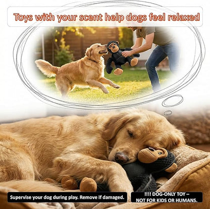 Plush Stuffed Squeaky Dog Toys, Dog Toy Medium、Large Breed, Dog Chew Toys for Non-Aggressive Dogs,Chew Dog Toys to Keep Them Busy,Solomon，11" x 11" Gorilla