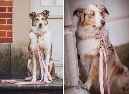 Soft Leather Dog Collar and Leash (6.6') Set - Stylish Rose Gold Heavy Duty Metal Buckle, 4 Adjustable Lengths Leash for Small Medium Large Dogs - Comfortable & Easy to Clean Pink XS(8"-12")