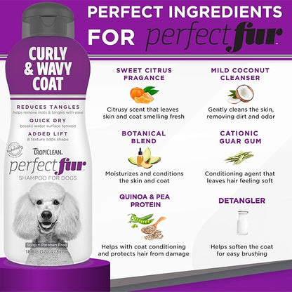 TropiClean Perfect Fur Natural Detangling Dog Shampoo for Doodles, Poodles, and Breeds with Curly Wavy Coats, Moisturizing Shampoo, Puppy Safe, 16oz.