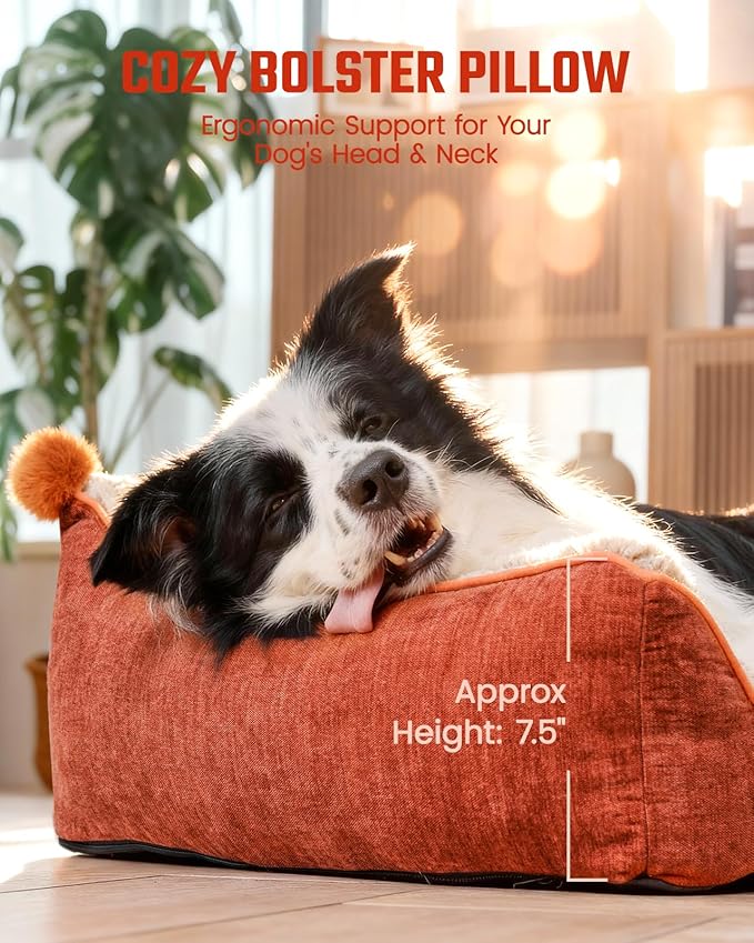 Pawccoli Orthopedic Dog Bed for Large Sized Dogs, Waterproof Supportive Egg Crate Foam Medium Dog Couch, Pet Bed with with Removable Bolsters, Washable Cover Non-Slip Bottom, (36''×26''×7.5'')