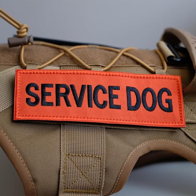 FITZNORA Embroidered Service Dog Patches, 2 Pack Clear Sign with Hook and Loop Pieces, Easy to Read Tabs for Dog Vest Harness Collar, 4.7 x 1.5 inches