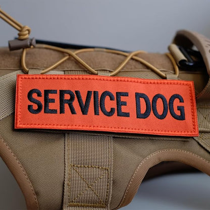 FITZNORA Embroidered Service Dog Patches, 2 Pack Clear Sign with Hook and Loop Pieces, Easy to Read Tabs for Dog Vest Harness Collar, 4.7 x 1.5 inches