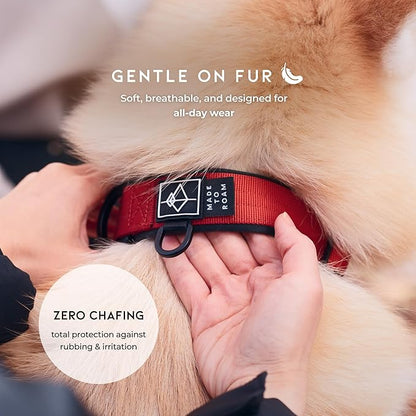 MADE TO ROAM Comfort Collar - Adjustable Nylon Dog Collar with Soft Comfortable Padding, Light Aviation Aluminum Metal Buckle for Small, Medium and Large Dogs (Arizona Heartbeat, Size 2)