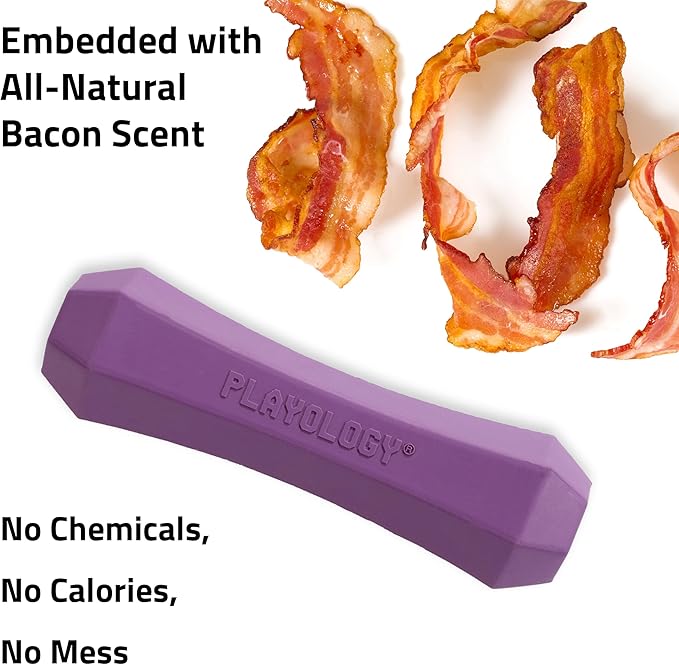 Playology Dog Toys | Durable Squeaky Chew Stick for Dogs | Medium Bacon Scented Toy - Easy to Clean and Made from Non Toxic Materials