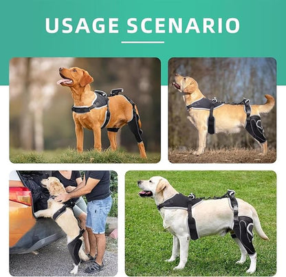 Dog Knee Brace for ACL/CCL Injuries,Torn Ligament,Pain Relief,Joint Warmth,Luxating Patella - Rear Leg Support,Black,Upgraded,Left Legs,Customized