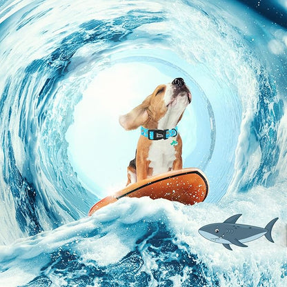 Dog Collar-Cute Shark Adjustable Pet Collars Soft Comfortable Puppy Collar Coral Cotton Dog Collars Durable Necklace Gift for Large Dogs
