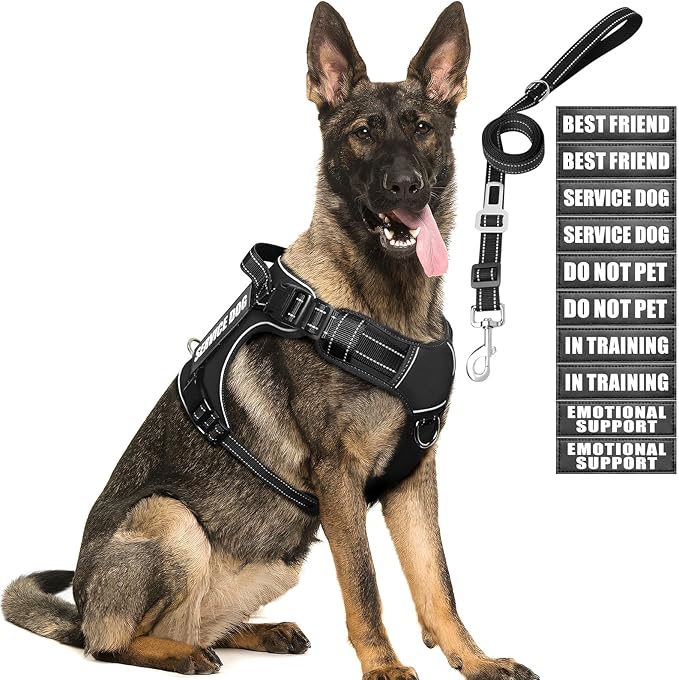MOOGROU Tactical Dog Harness and Leash Set for Large Dogs,Heavy Duty No Pull Service Dog Vest and 10 Patches with Dog Seat Belt,Reflective Adjustable Pet Harness for Training Walking Hiking Black L