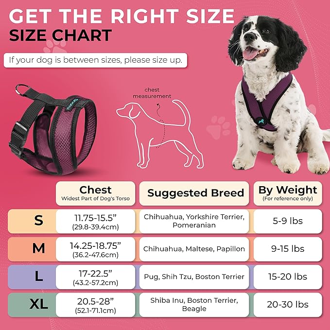 Gooby Comfort X Head In Harness - Purple, X-Large - No Pull Small Dog Harness Patented Choke-Free X Frame - Perfect on the Go Dog Harness for Medium Dogs No Pull, Small Dogs for Indoor and Outdoor Use