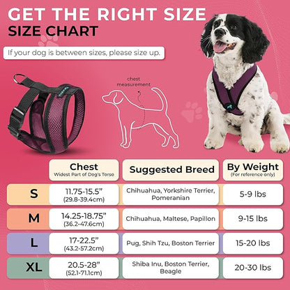 Gooby Comfort X Head In Harness - Purple, X-Large - No Pull Small Dog Harness Patented Choke-Free X Frame - Perfect on the Go Dog Harness for Medium Dogs No Pull, Small Dogs for Indoor and Outdoor Use