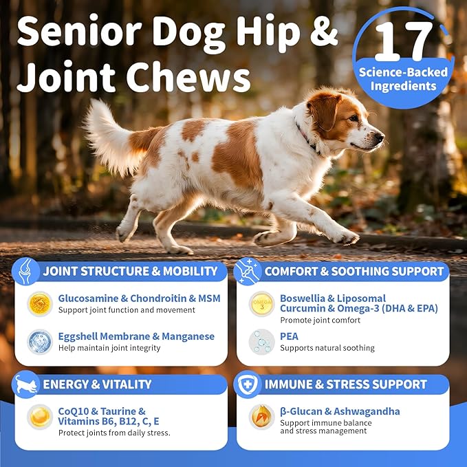 POPPAW Senior Advanced Joint Supplement for Dogs – 17-in-1 Glucosamine for Dogs with Chondroitin – Hip & Joint Pain Relief Pills – Mobility Support Chews – Large & Small Breeds - Beef Flavor – 90Ct