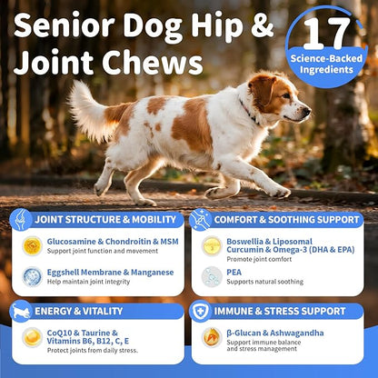 POPPAW Senior Advanced Joint Supplement for Dogs – 17-in-1 Glucosamine for Dogs with Chondroitin – Hip & Joint Pain Relief Pills – Mobility Support Chews – Large & Small Breeds - Beef Flavor – 90Ct