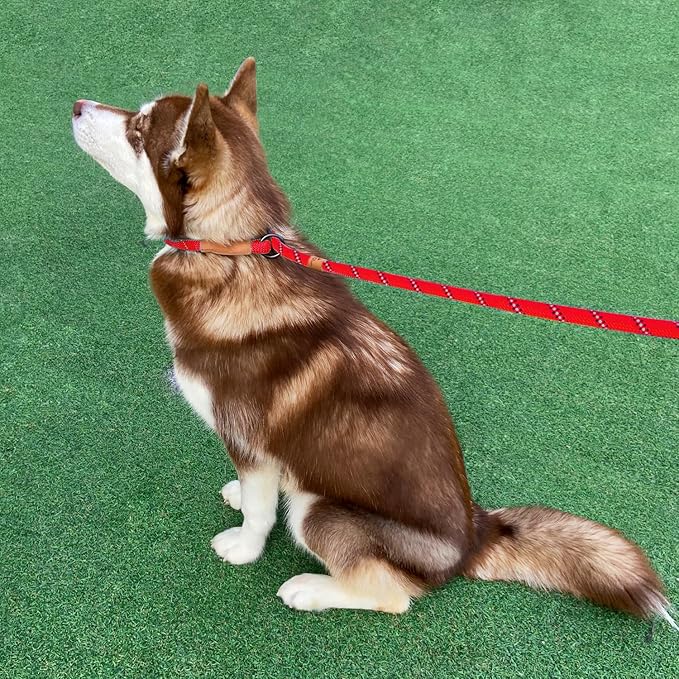 5 FT Slip Lead Heavy Duty Rope Leash for Small Medium Large Dogs, No Pull Training Lead with Reflective Thread, Strong Comfortable Loop Leash (Red Stripe, Large(1/2"))