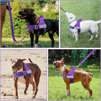 Lukovee No Pull Dog Harness & Leash Set - Heavy Duty Dog Vest Harness with Soft Padded for Medium Large Dogs, Adjustable Reflective Tactical Pet Harness for Easy Walk and Training (S, PU)