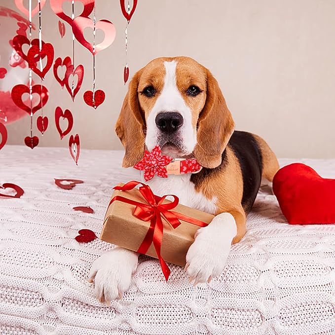 Valentine's Day Dog Collar with Flower Tie, Pink Red Love Male Dog Collar with Safety Metal Buckle Adjustable Puppy Collars for Small Medium Large Boy & Girl Dog,XL-Neck 16"-26"